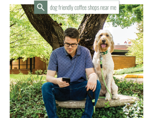 geo tagging and google my business