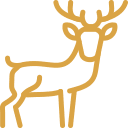 deer_icon